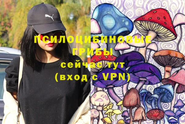 гашиш Абаза