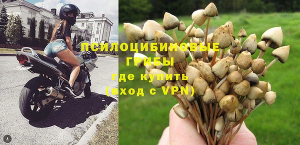 спайс Алексин