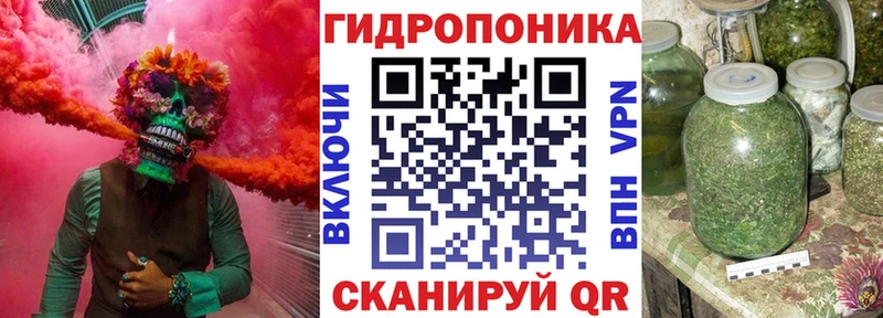 Бошки марихуана THC 21%  Шумиха 